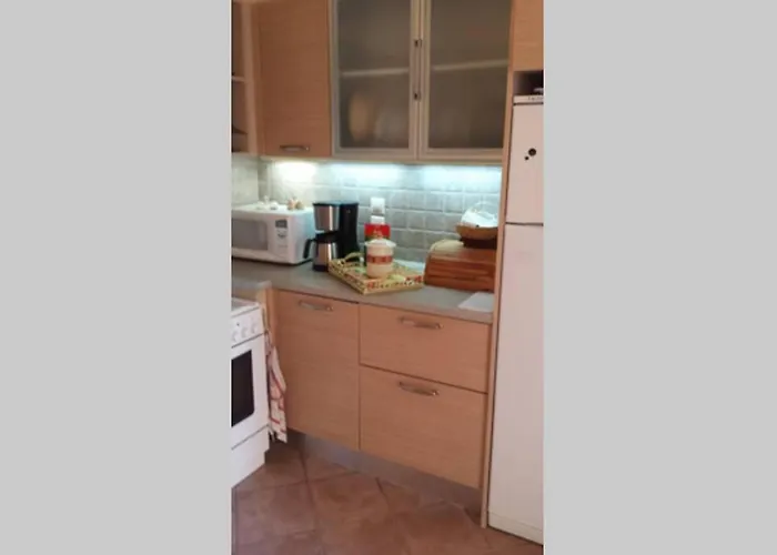 Chrisevgeni With Elevator