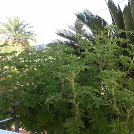 Chrisevgeni With Elevator Tatil Evi *