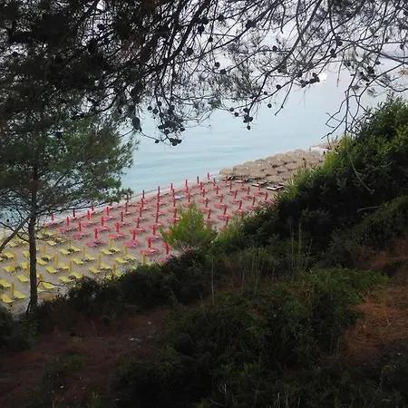 Chrisevgeni With Elevator * Argostoli (Kefalonia)
