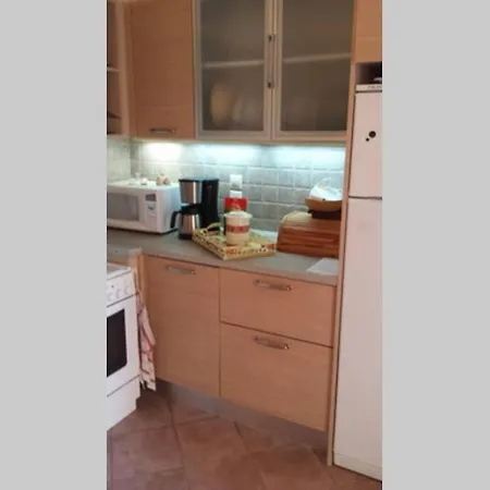 Chrisevgeni With Elevator