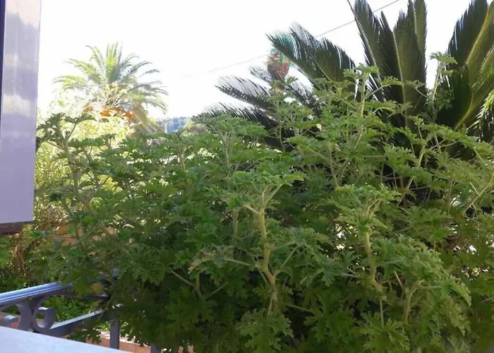 Chrisevgeni With Elevator Semesterbostad *