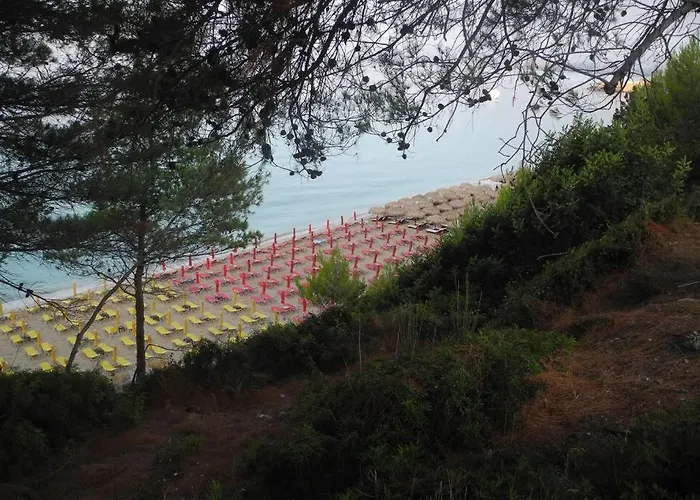 Chrisevgeni With Elevator * 阿尔戈斯托利翁